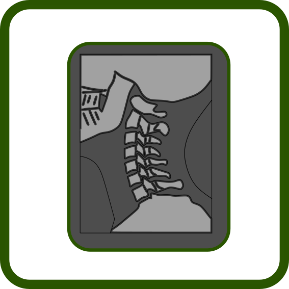 Chiropractic Education